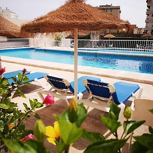 book here
